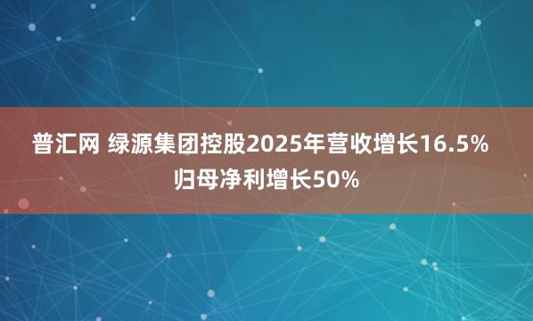 普汇网 绿源集团控股2025年营收增长16.5%  归母净利增长50%